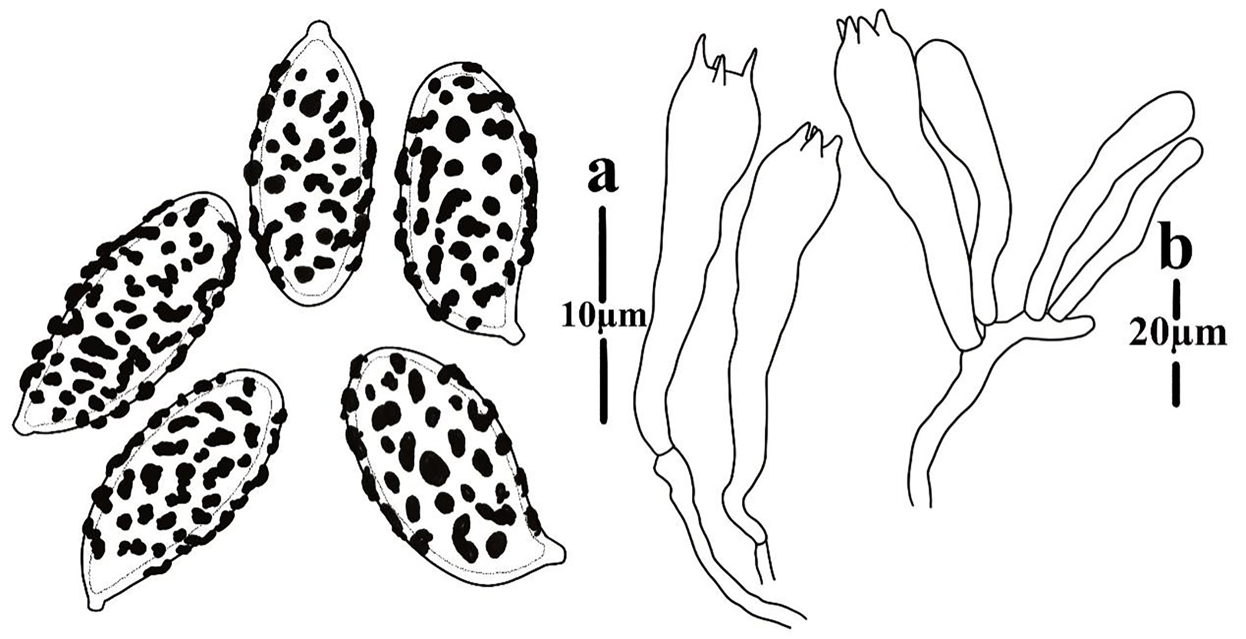 Figure 111